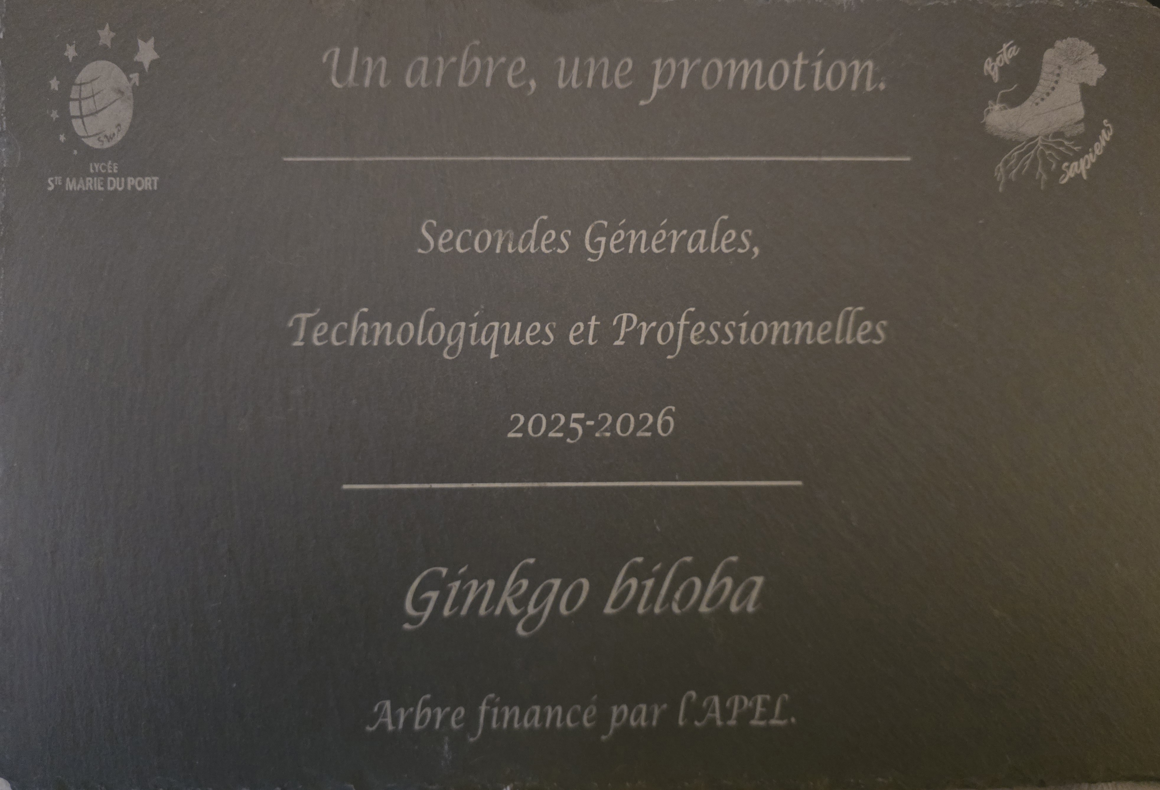 Gravure laser sur ardoise