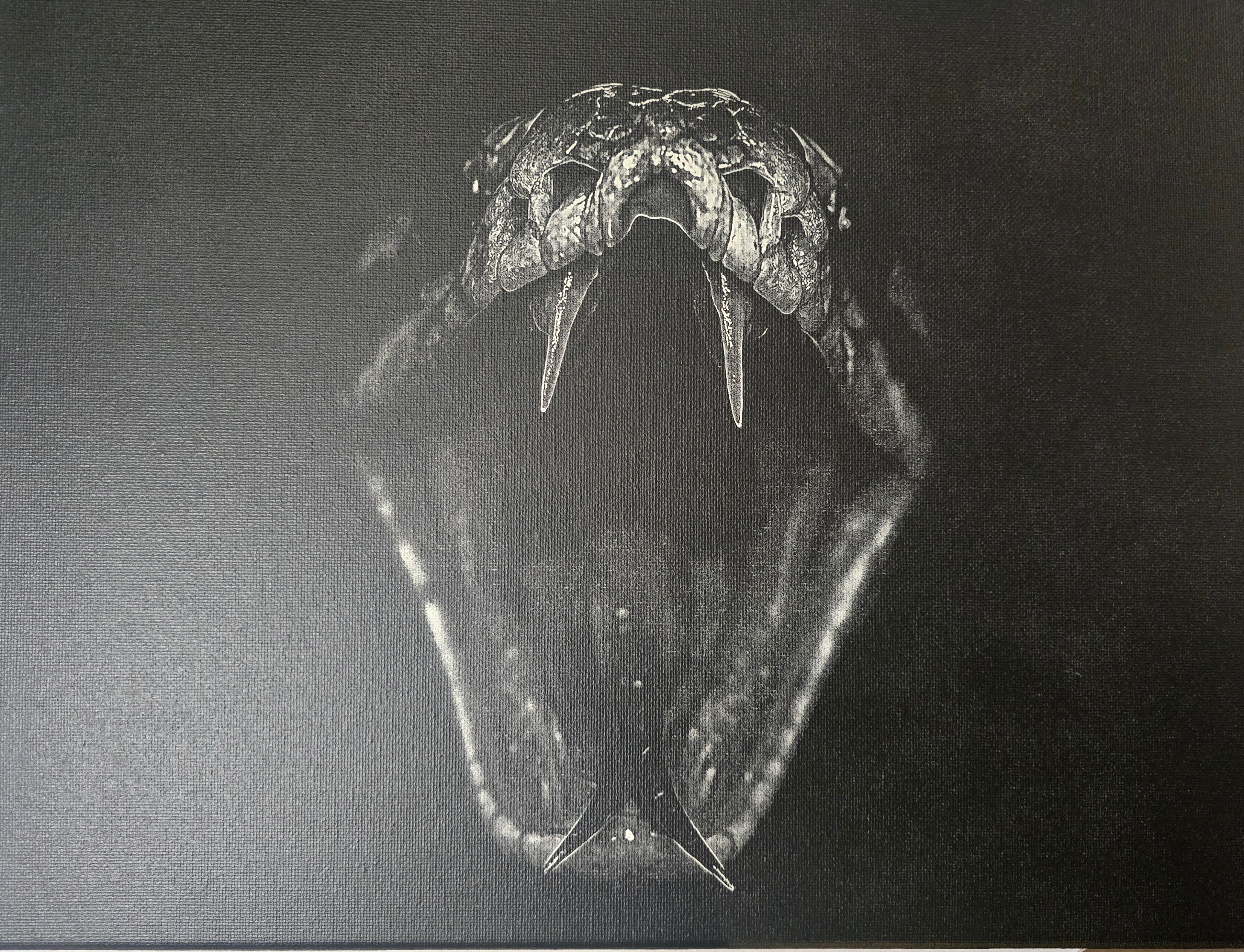  Gravure laser sur toile